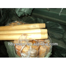 varnished wooden broom stick